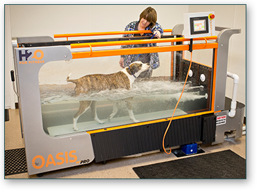 Dog Underwater Treadmill Therapy | Pet 