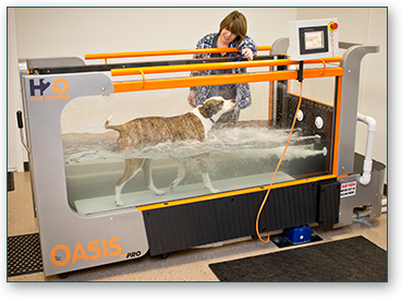 Underwater Dog Treadmill Greensboro